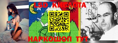 ПСИЛОЦИБИНОВЫЕ ГРИБЫ Краснодар