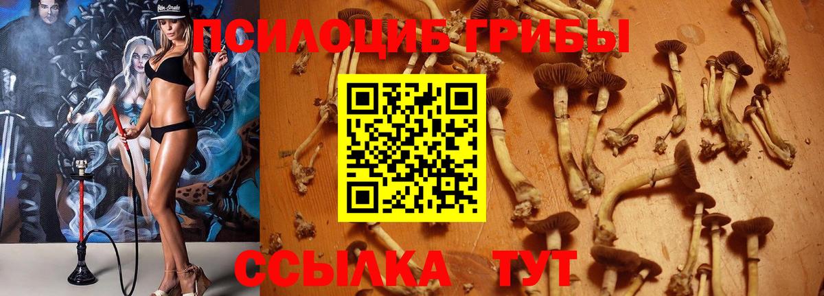 Псилоцибиновые грибы MAGIC MUSHROOMS Кемерово