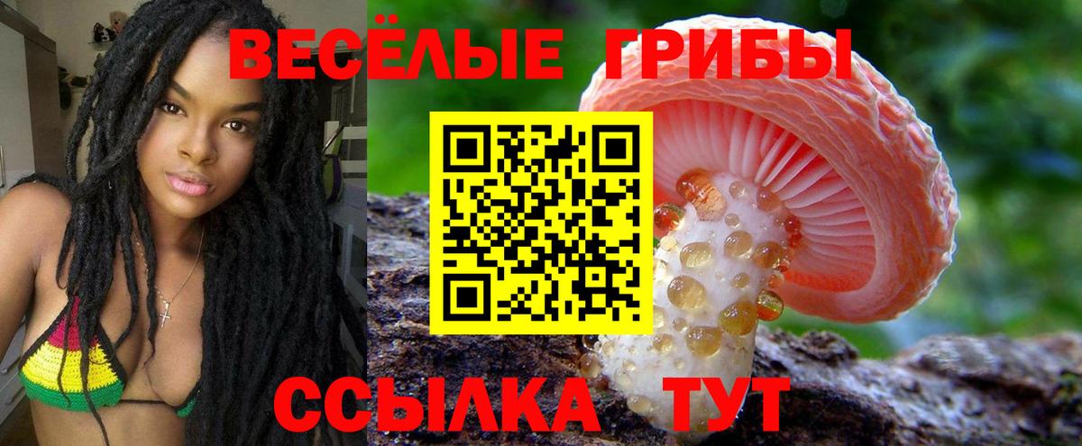 Псилоцибиновые грибы ЛСД  наркошоп  Вход с VPN  Кемерово  Галлюциногенные грибы ЛСД 